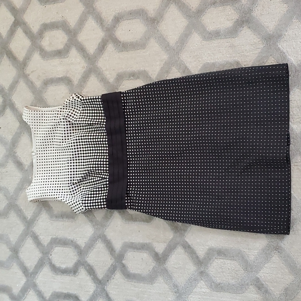 Ann Taylor Dress